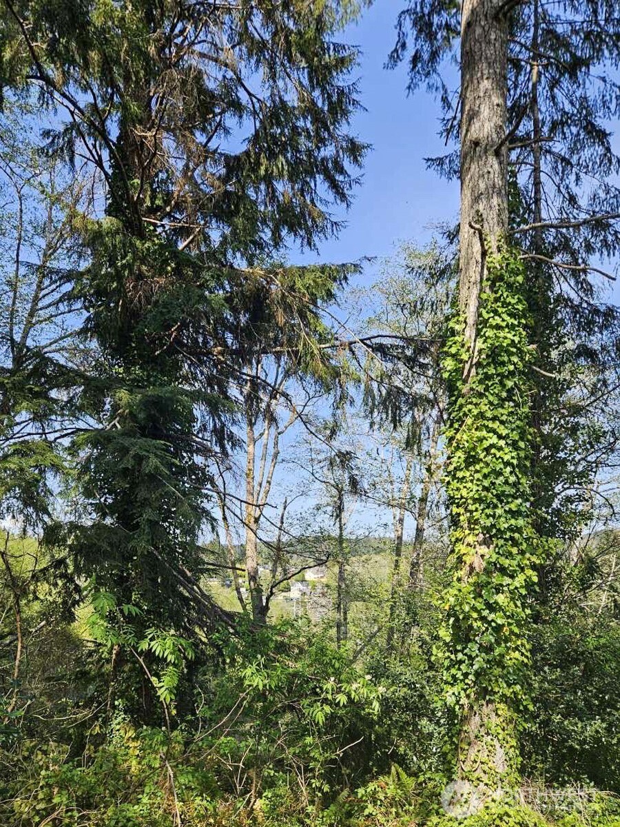 0 Ninth Avenue , Aberdeen, WA 98520