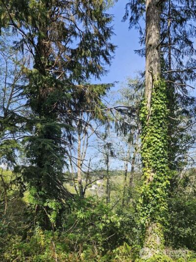 0 Ninth Avenue , Aberdeen, WA 98520