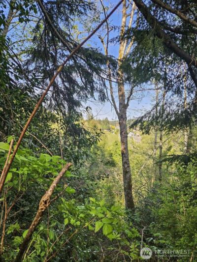 0 Ninth Avenue , Aberdeen, WA 98520 - Photo 3