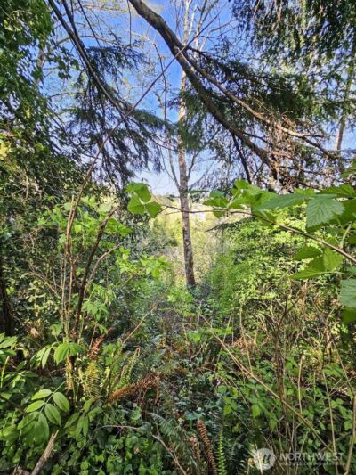 0 Ninth Avenue , Aberdeen, WA 98520 - Photo 4