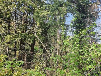 0 Ninth Avenue , Aberdeen, WA 98520 - Photo 5