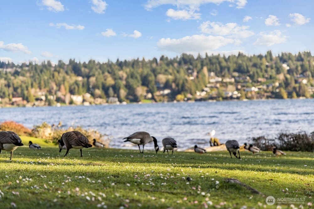 8411 48th Avenue S, Seattle, WA 98118