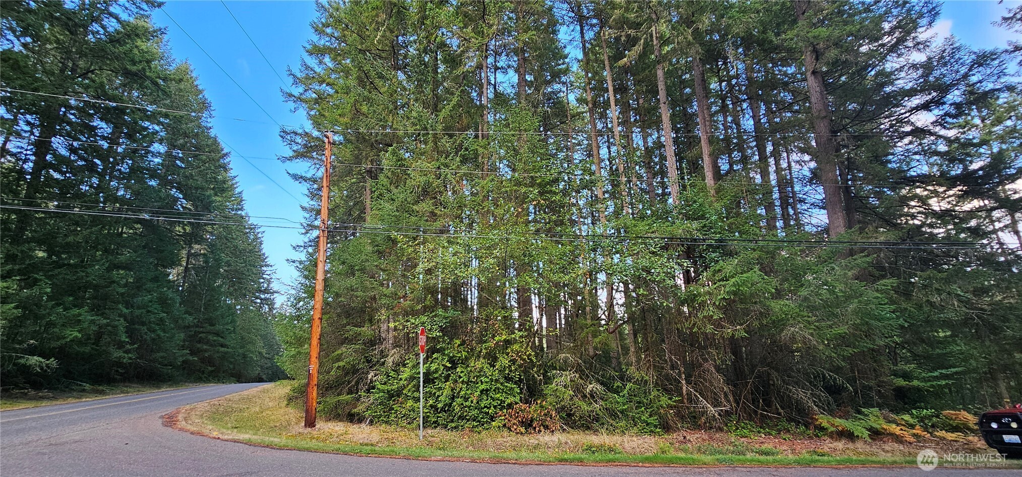 10115 Edgewood Drive , Anderson Island, WA 98303