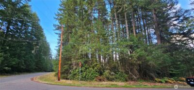 10115 Edgewood Drive , Anderson Island, WA 98303