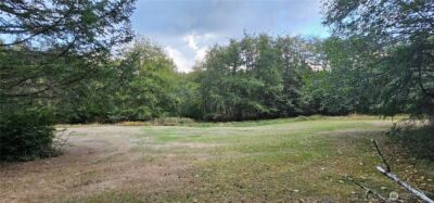 10115 Edgewood Drive , Anderson Island, WA 98303 - Photo 2