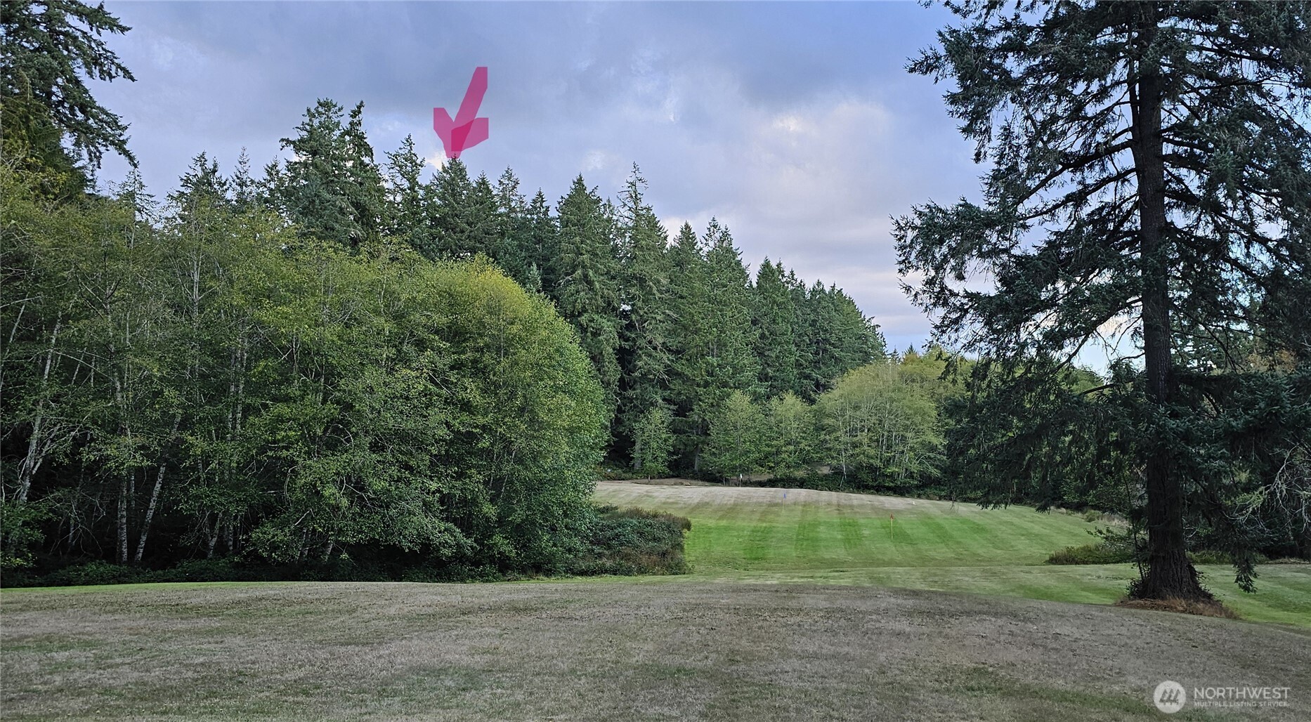 10115 Edgewood Drive , Anderson Island, WA 98303
