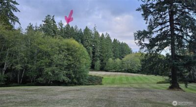 10115 Edgewood Drive , Anderson Island, WA 98303 - Photo 3