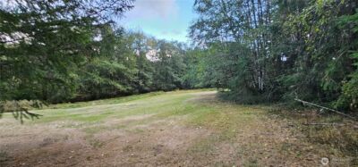 10115 Edgewood Drive , Anderson Island, WA 98303 - Photo 4