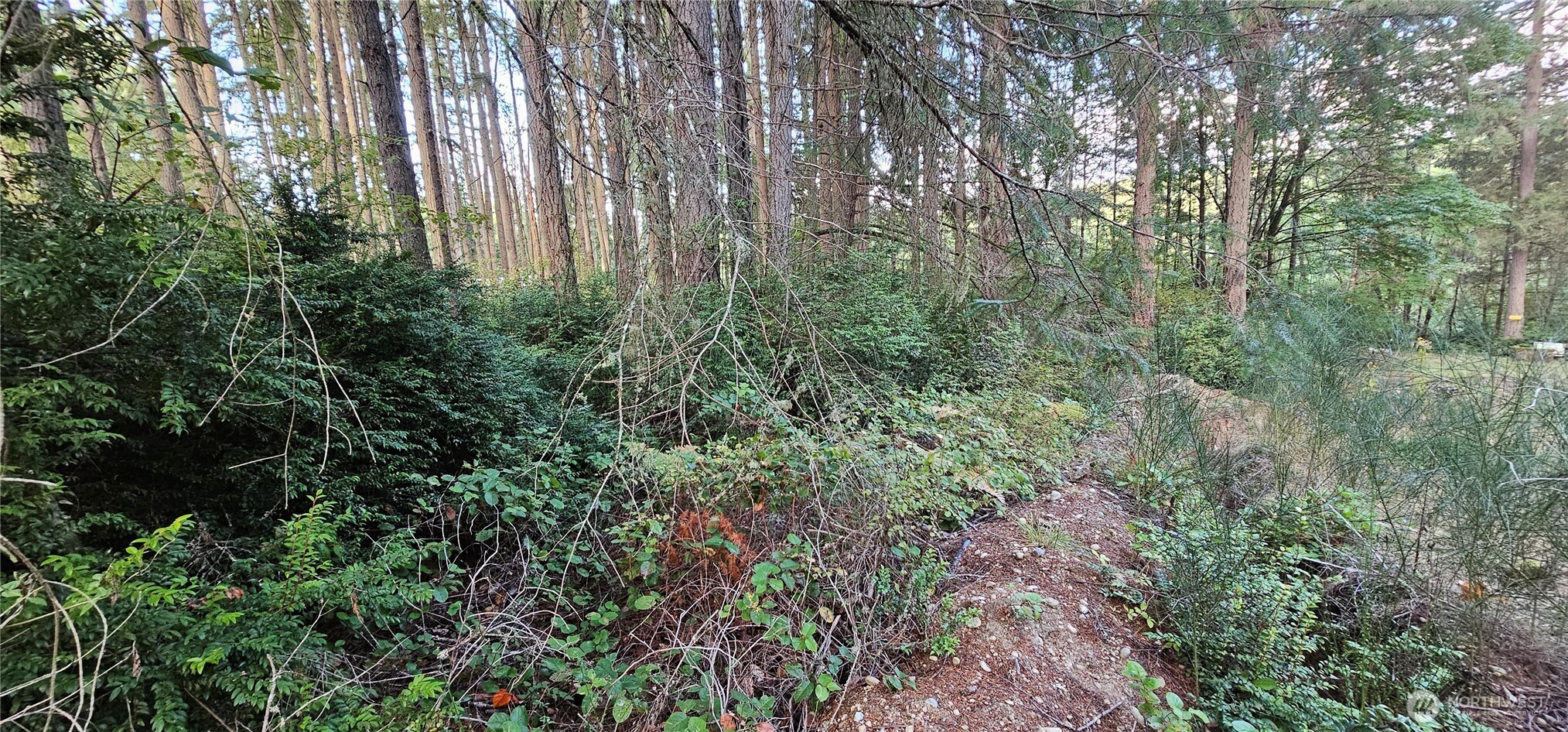 10115 Edgewood Drive , Anderson Island, WA 98303