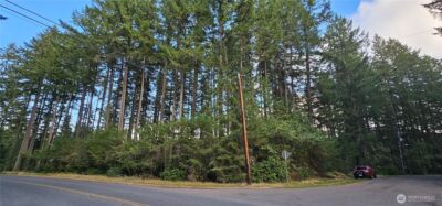10115 Edgewood Drive , Anderson Island, WA 98303 - Photo 7
