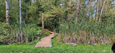 10115 Edgewood Drive , Anderson Island, WA 98303 - Photo 9