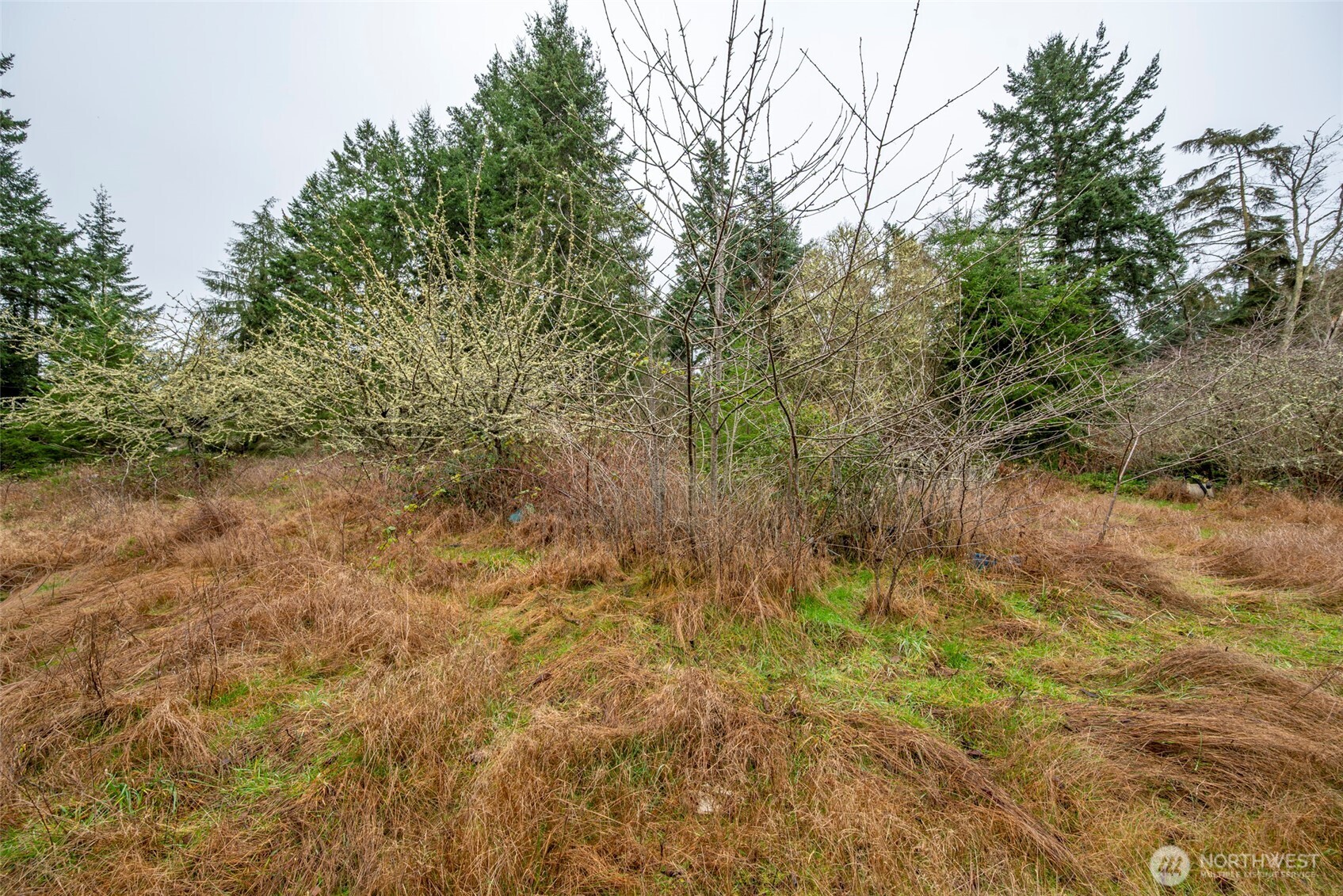 4117 Degraff Road , Oak Harbor, WA 98277