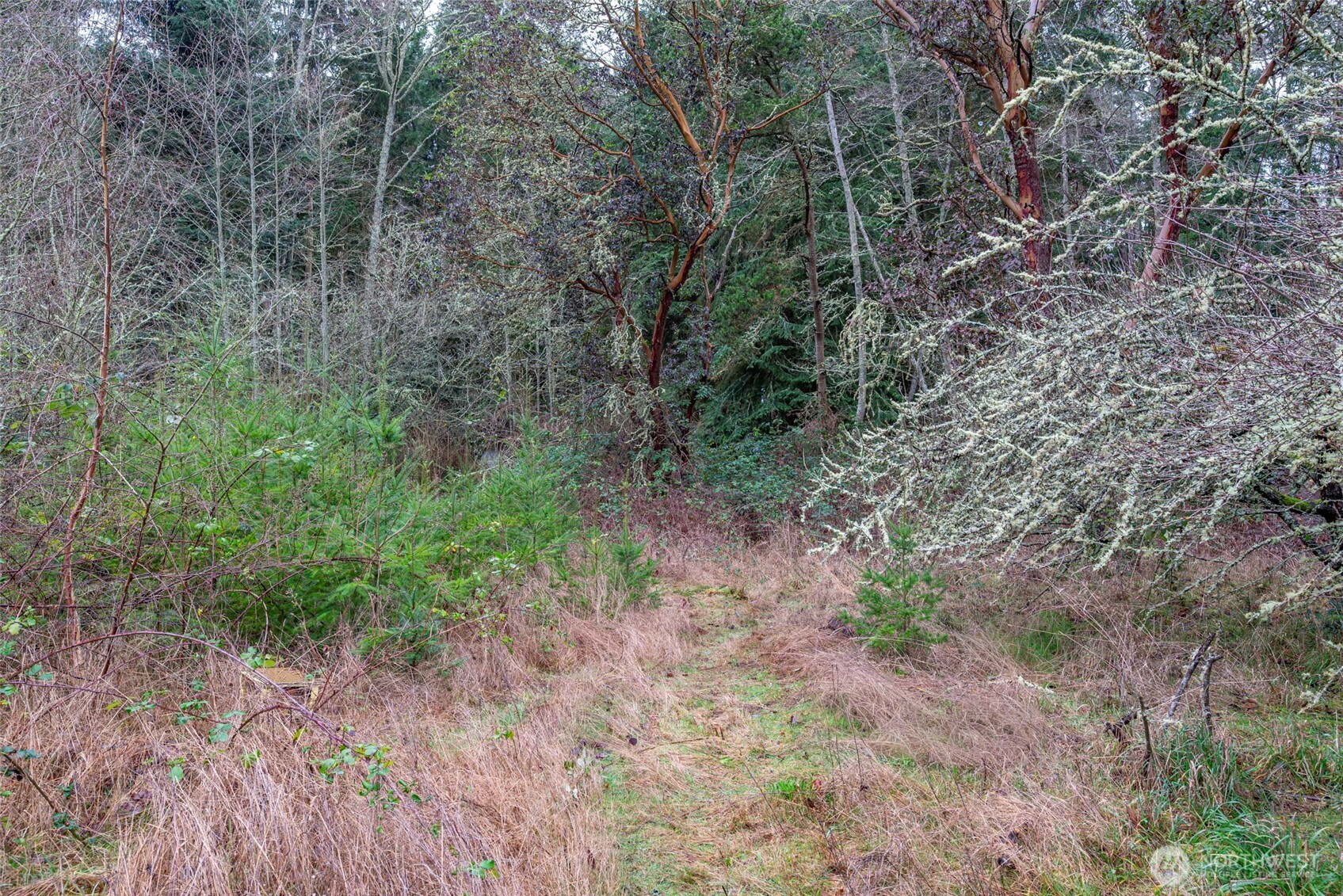 4117 Degraff Road , Oak Harbor, WA 98277