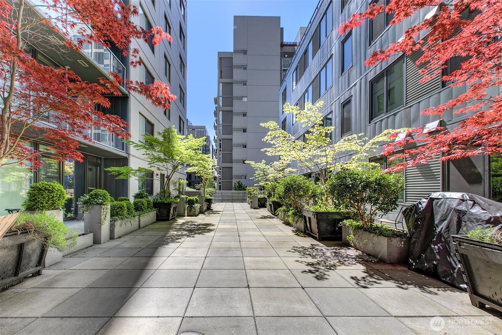 76 Cedar Street #603, Seattle, WA 98121-4106