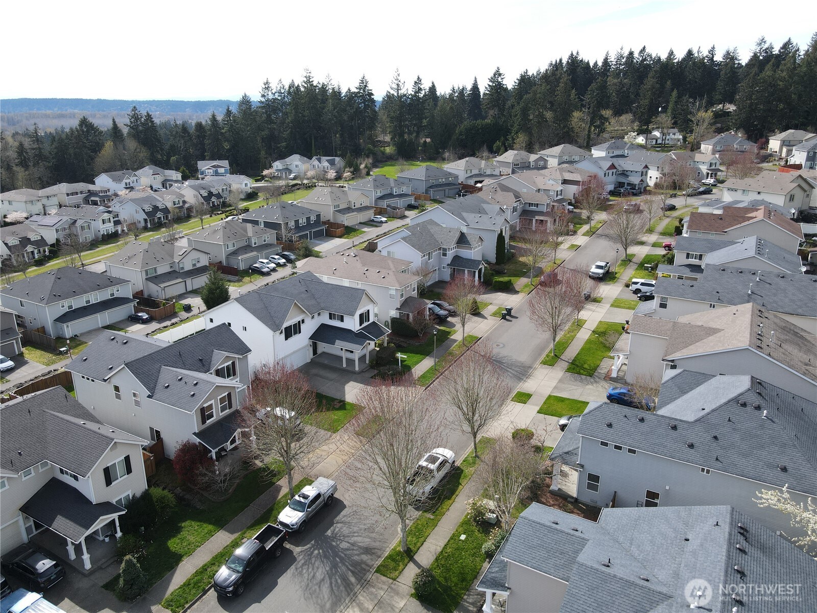 1163 Swan Loop , Dupont, WA 98327