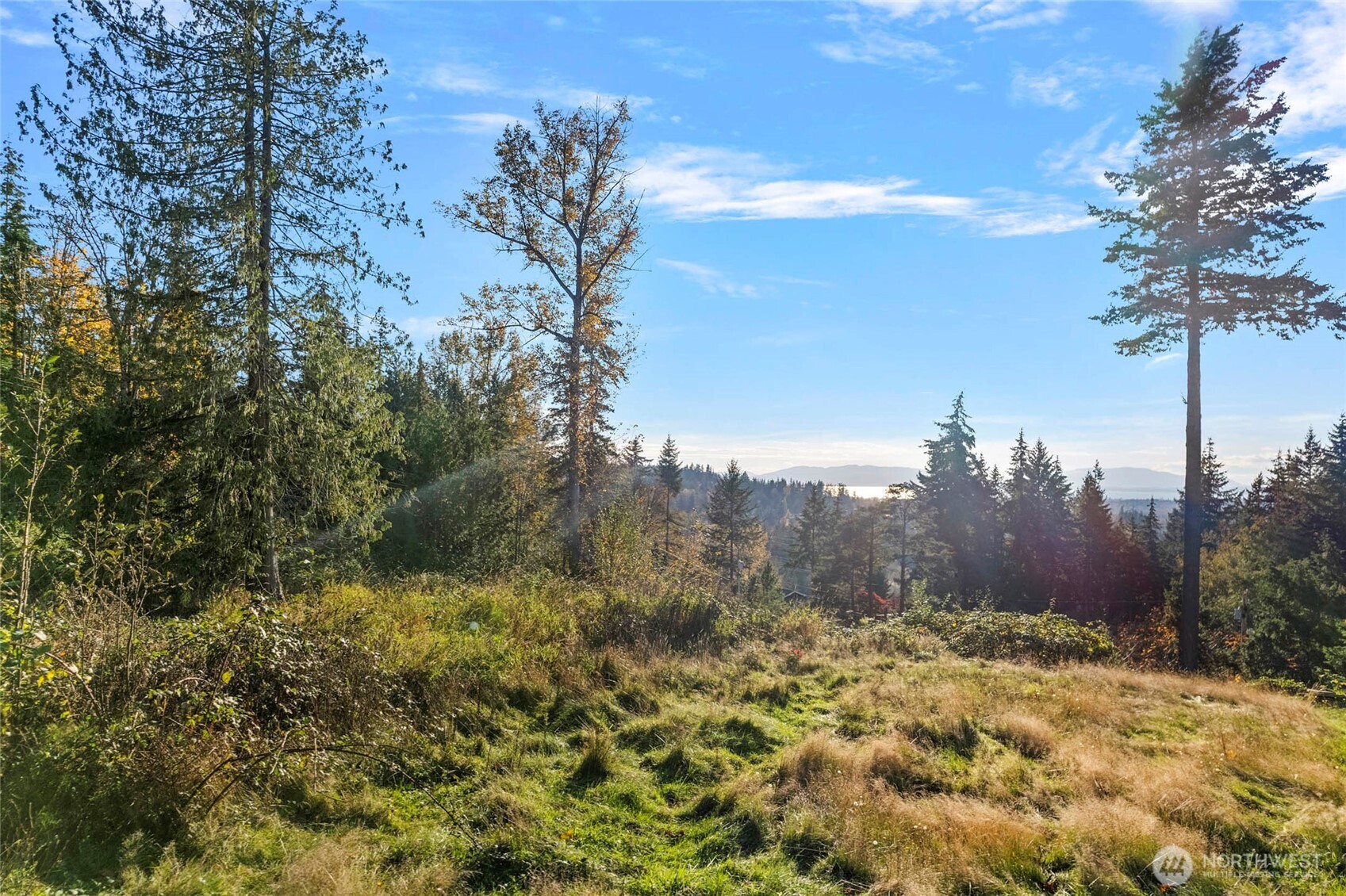 4121 Malachite Drive , Bellingham, WA 98226