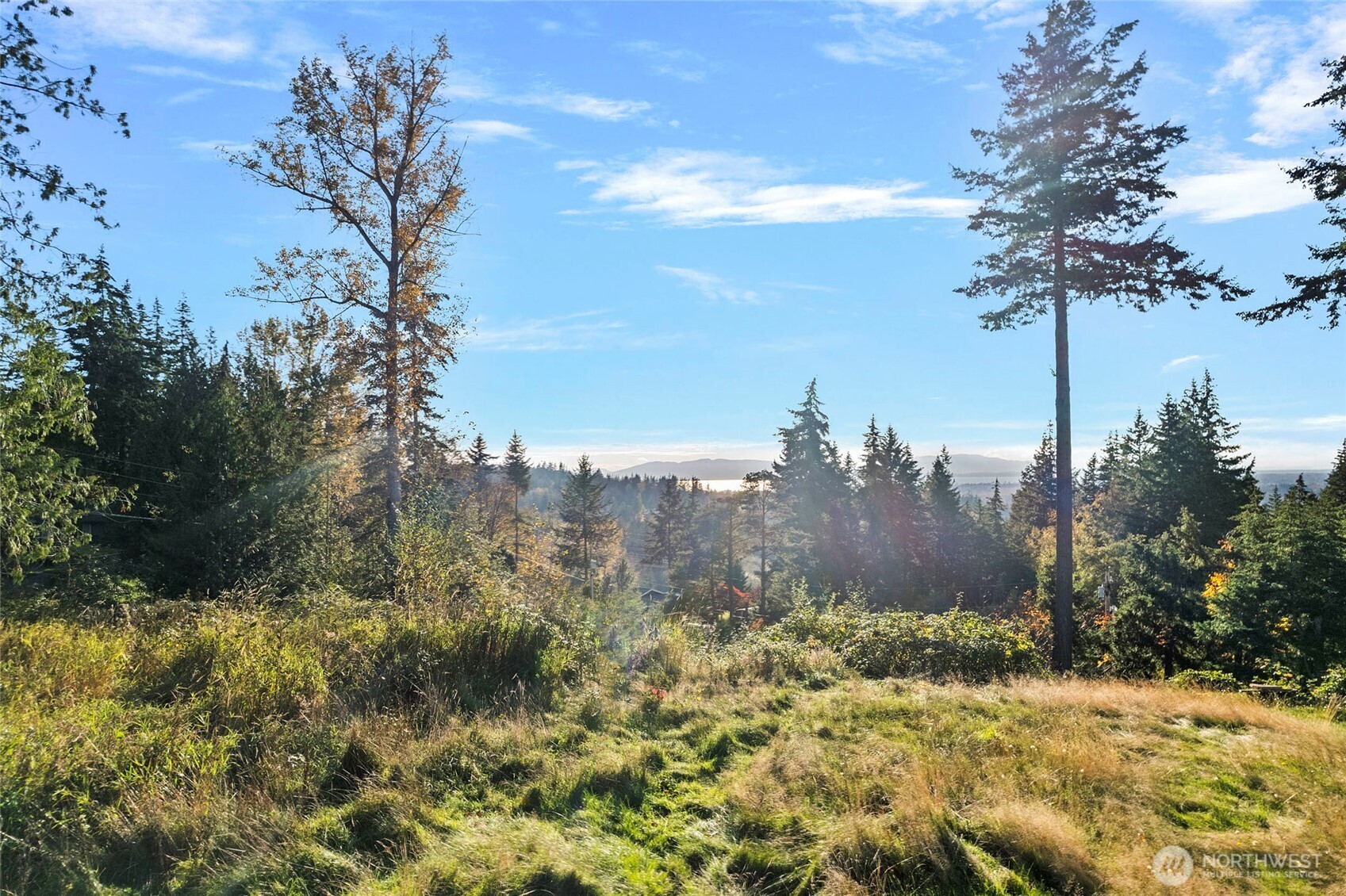 4121 Malachite Drive , Bellingham, WA 98226