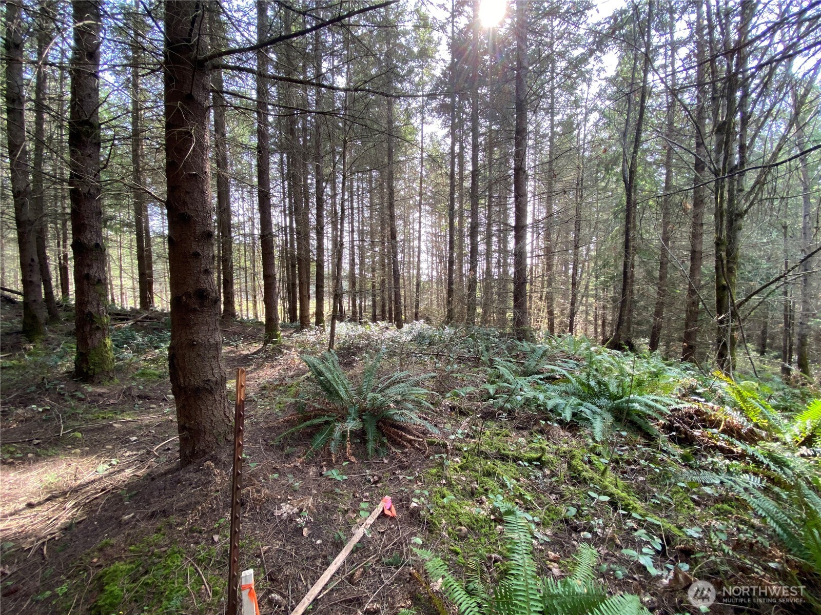 0 250th Ave E , Orting, WA 98360