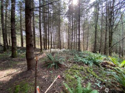 0 250th Ave E , Orting, WA 98360 - Photo 2