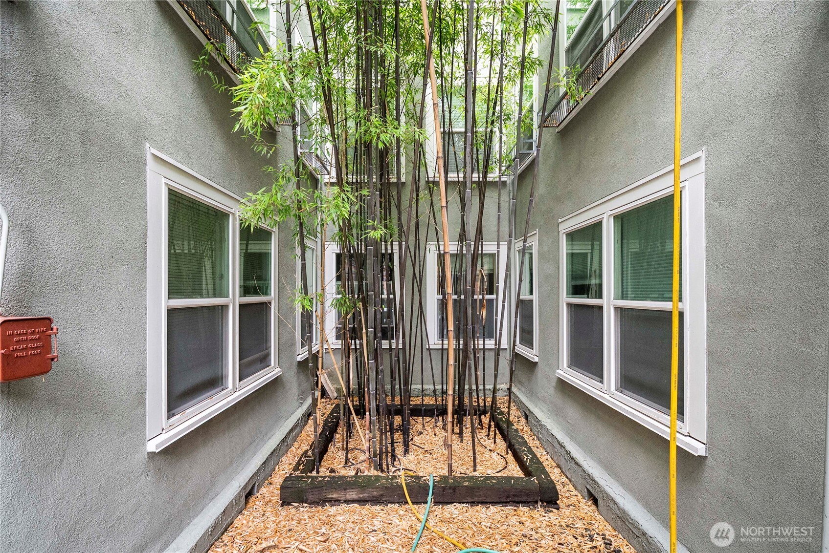 905 NE 43rd Street #107, Seattle, WA 98105