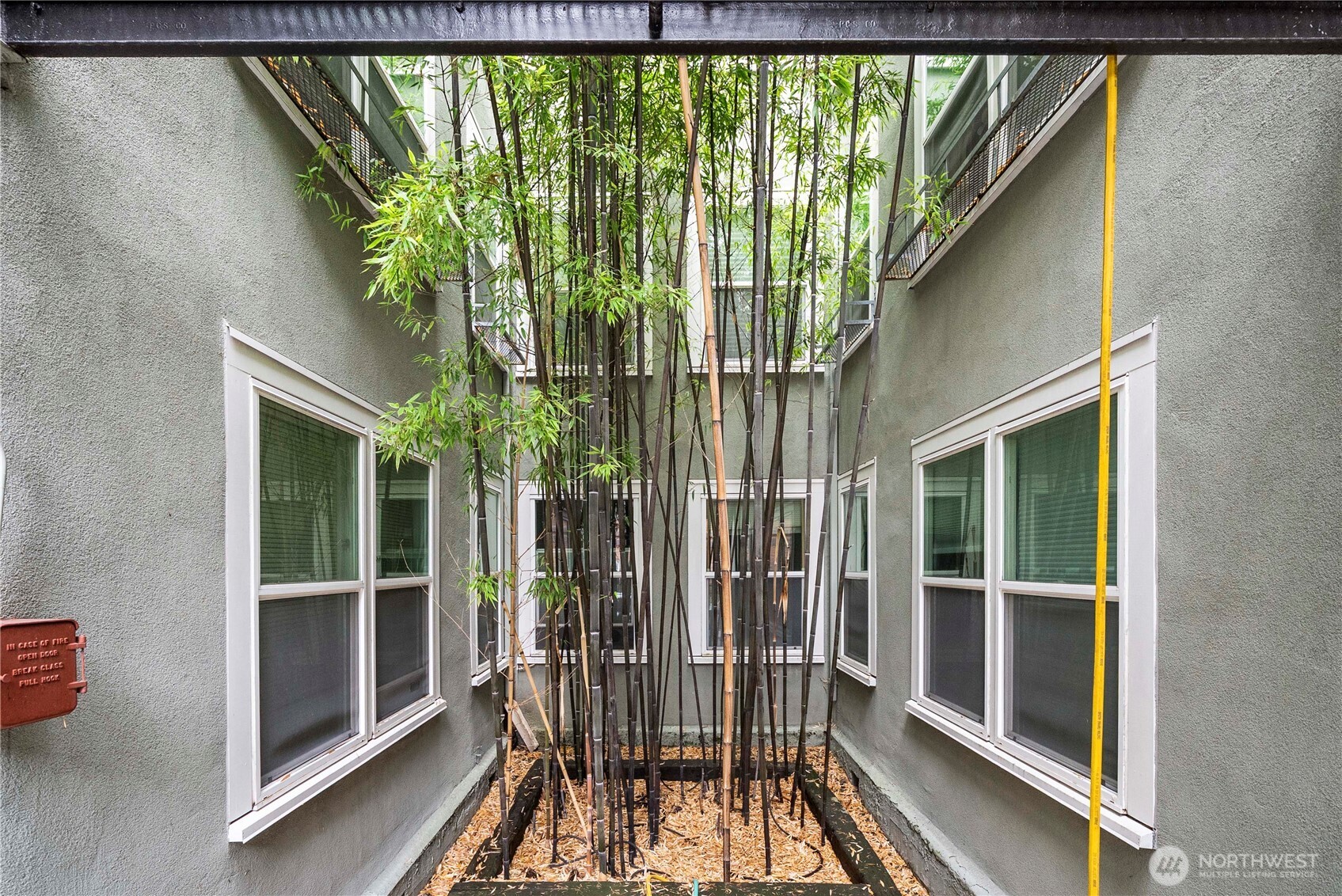 905 NE 43rd Street #107, Seattle, WA 98105