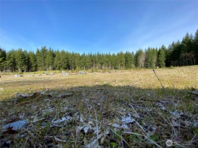 0 XXX 250th Ave E , Orting, WA 98360