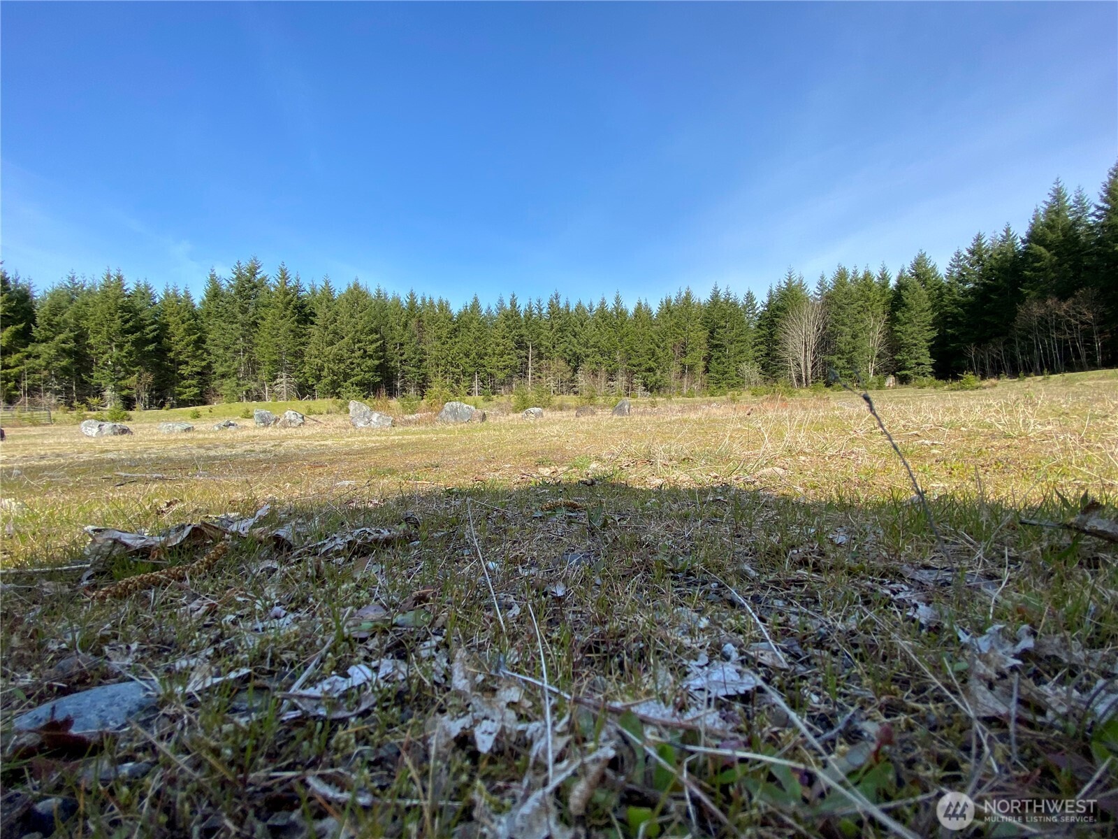 0 XXX 250th Ave E , Orting, WA 98360