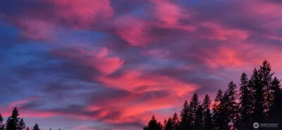 21550 1st Court S, Normandy Park, WA 98198 - Photo 39