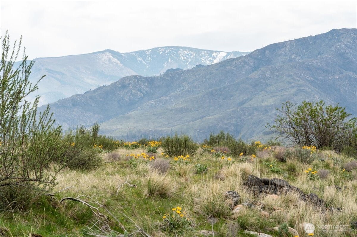 0 Brook Trout Lane #Lot 1, Methow, WA 98834