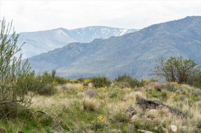 0 Brook Trout Lane #Lot 1, Methow, WA 98834 - Photo 19