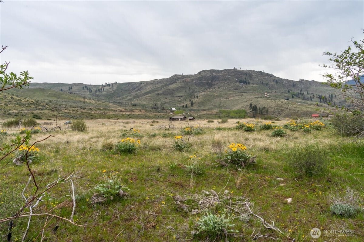 0 Brook Trout Lane #Lot 1, Methow, WA 98834