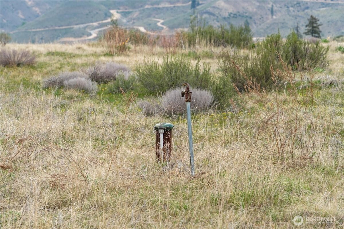 0 Brook Trout Lane #Lot 1, Methow, WA 98834