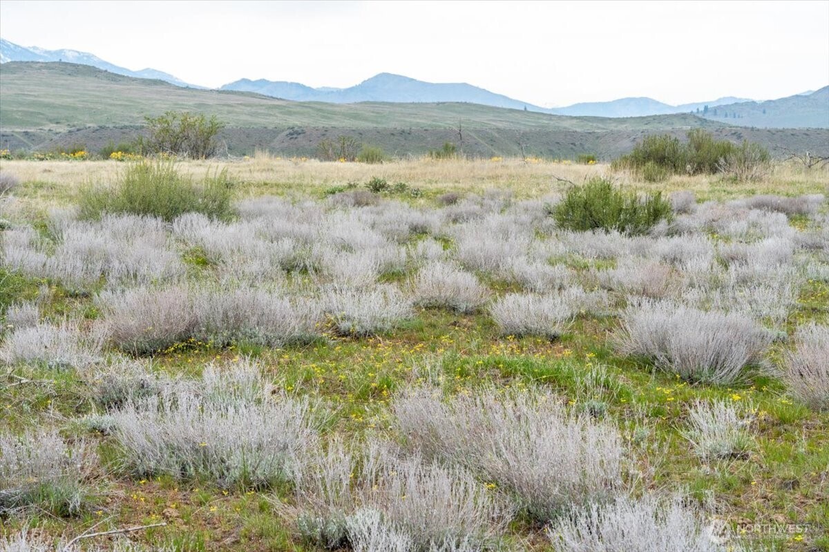 0 Brook Trout Lane #Lot 1, Methow, WA 98834