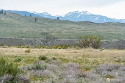 0 Brook Trout Lane #Lot 1, Methow, WA 98834 - Photo 29