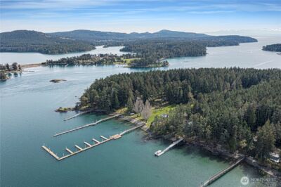 1 & 2 Driftwood Shores , Henry Island, WA 98250 - Photo 2