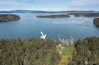 1 & 2 Driftwood Shores , Henry Island, WA 98250 - Photo 4