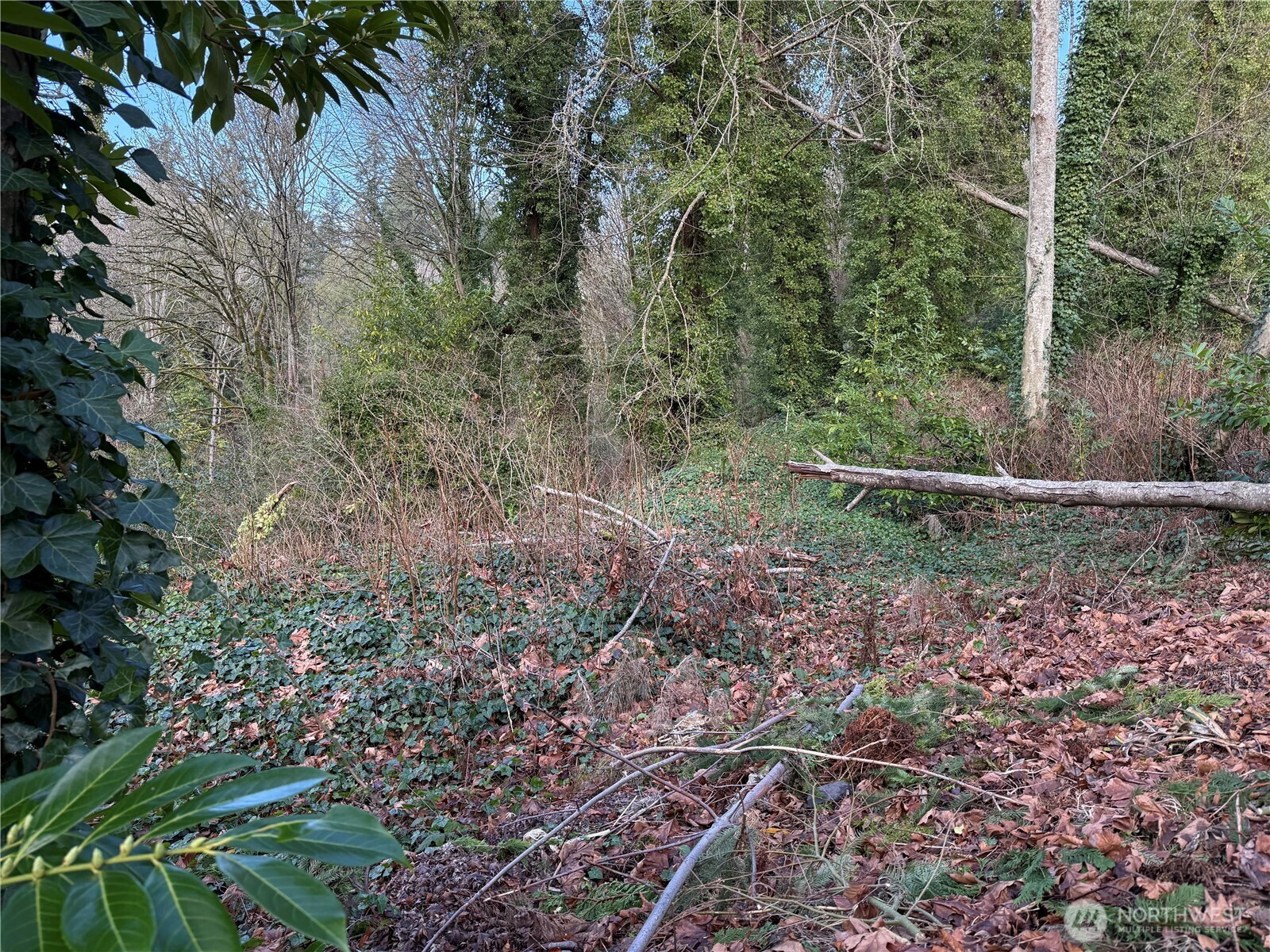 0 269XX 9th Avenue S, Des Moines, WA 98198