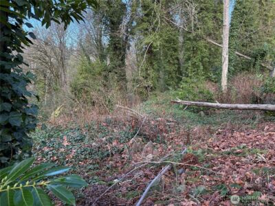 0 269XX 9th Avenue S, Des Moines, WA 98198 - Photo 2