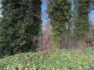 0 269XX 9th Avenue S, Des Moines, WA 98198 - Photo 3