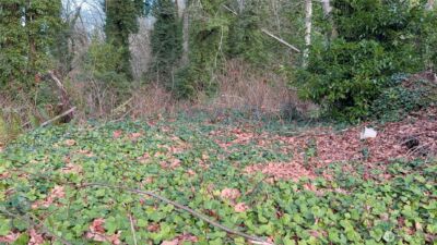 0 269XX 9th Avenue S, Des Moines, WA 98198 - Photo 4