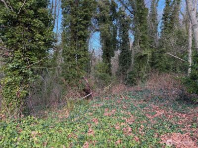 0 269XX 9th Avenue S, Des Moines, WA 98198 - Photo 5