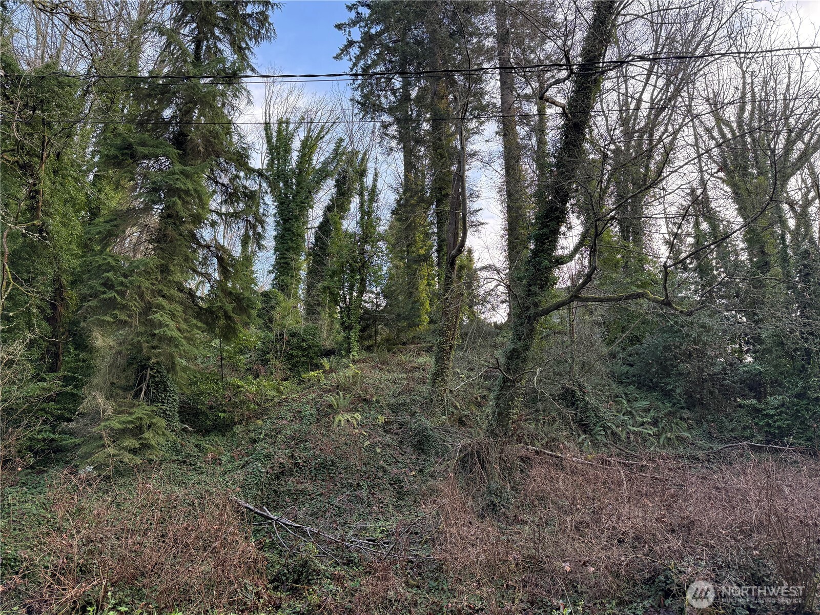 0 269XX 9th Avenue S, Des Moines, WA 98198