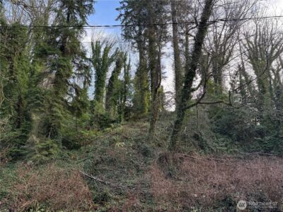 0 269XX 9th Avenue S, Des Moines, WA 98198 - Photo 7