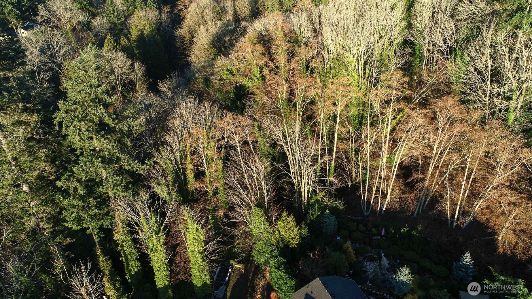 0 269XX 9th Avenue S, Des Moines, WA 98198