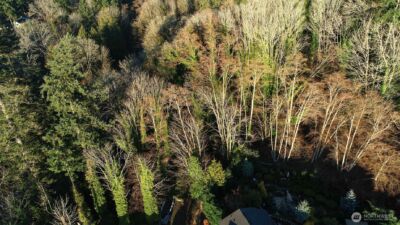 0 269XX 9th Avenue S, Des Moines, WA 98198 - Photo 8