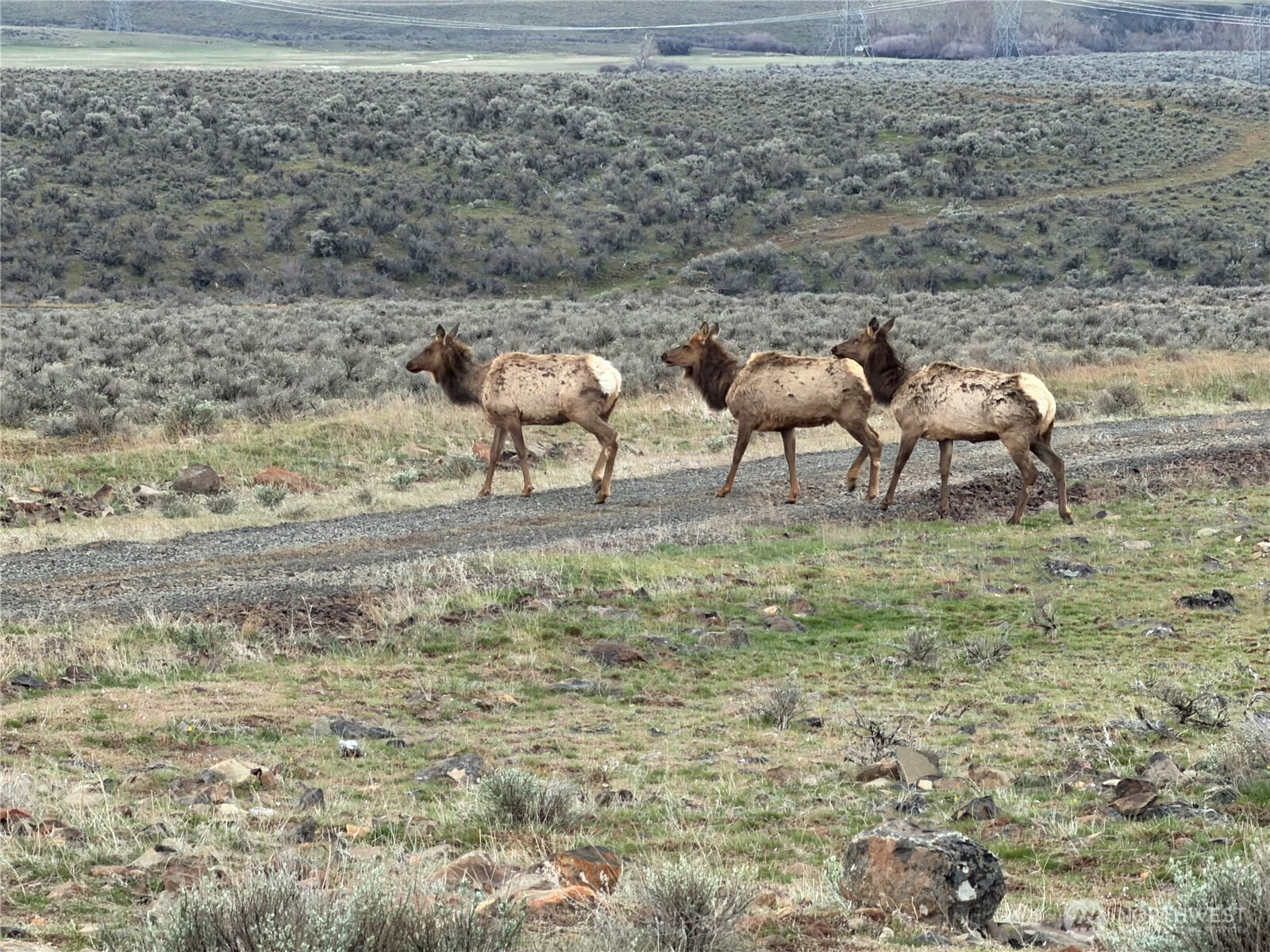 1235 Secret Canyon Road , Ellensburg, WA 98926