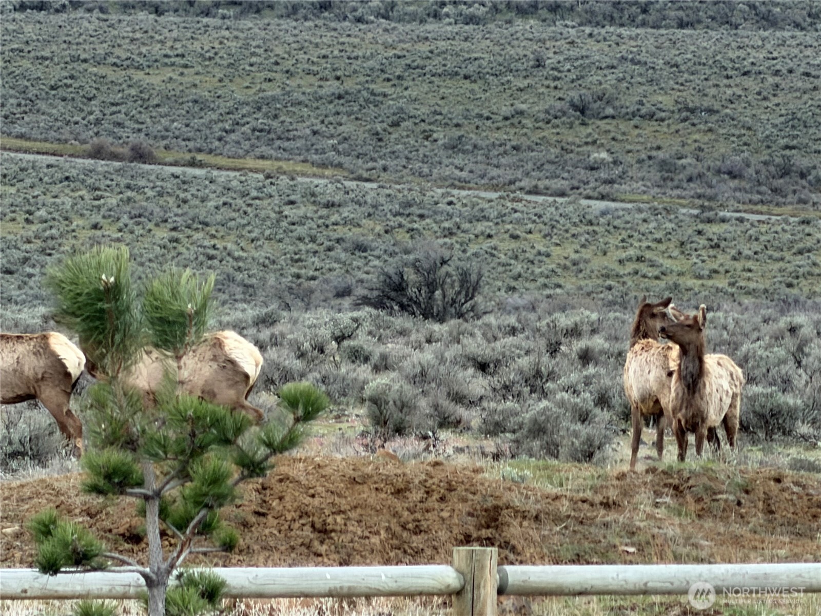 1235 Secret Canyon Road , Ellensburg, WA 98926