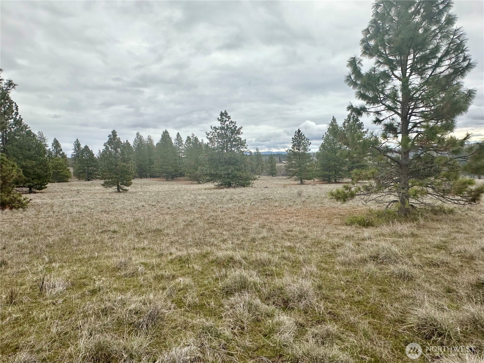 72 Winlock Road , Goldendale, WA 98620
