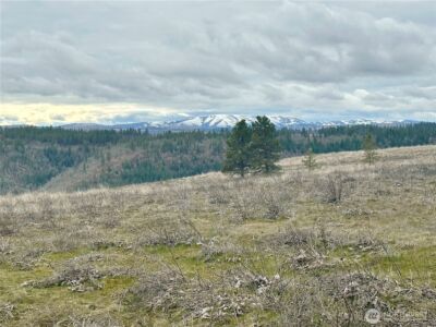 72 Winlock Road , Goldendale, WA 98620 - Photo 3