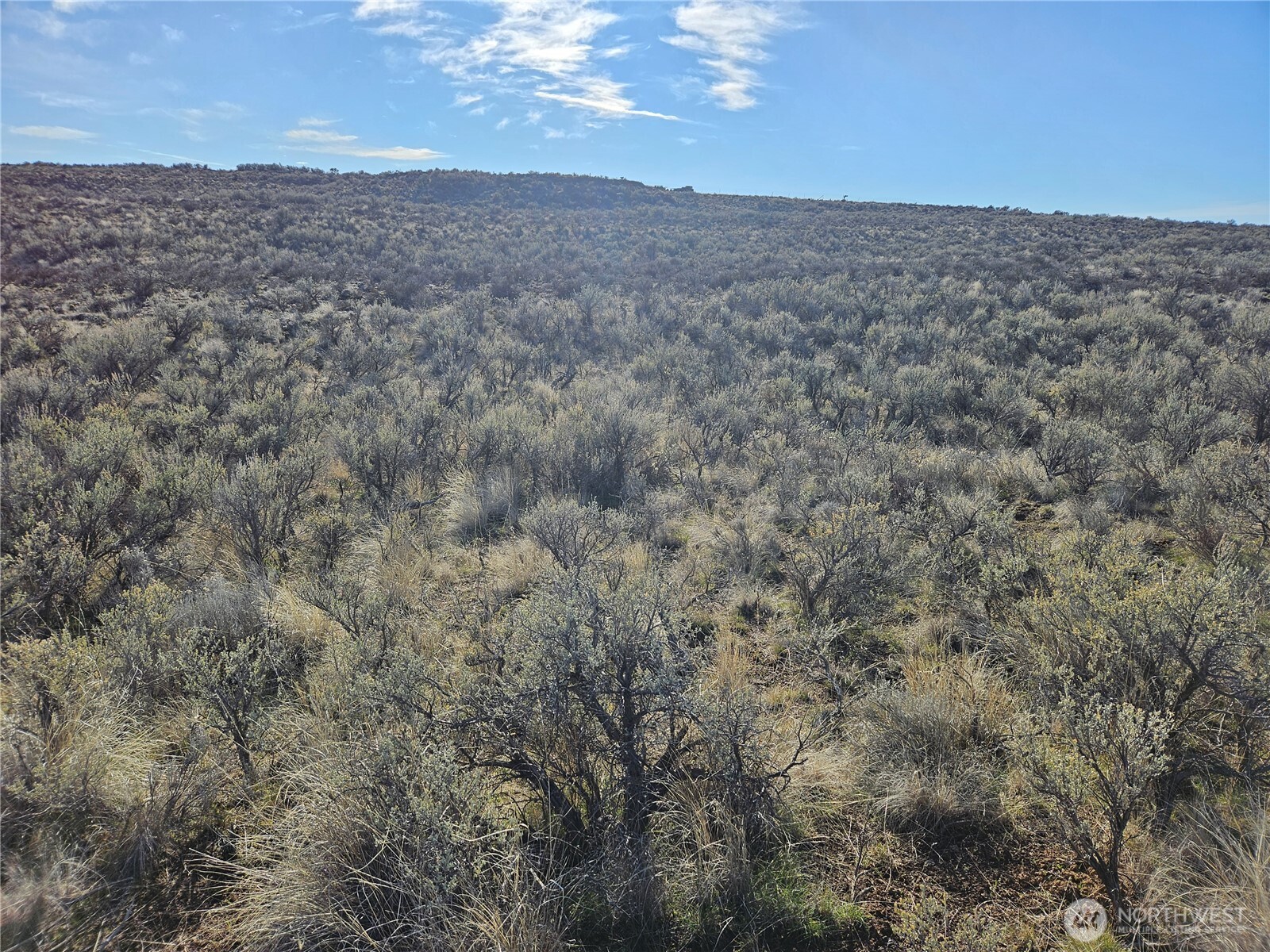 3 Sacagewea Drive , Ephrata, WA 98823